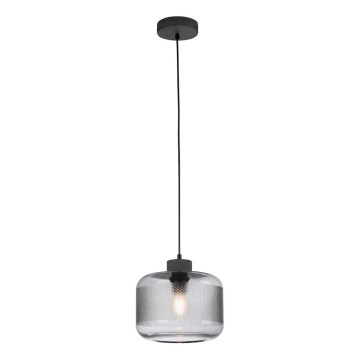 Paul Neuhaus 2005-25 - Luster na sajli BOLETUS 1xE27/10W/230V prečnik 23,5 cm siva