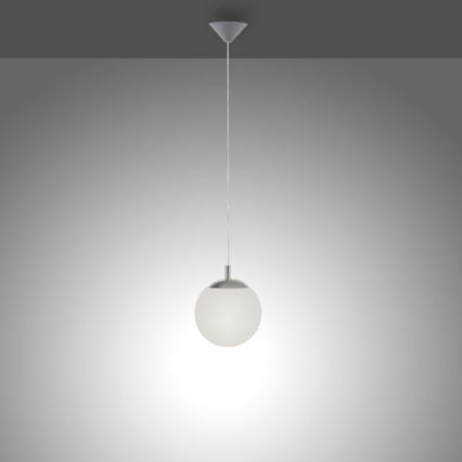 Paul Neuhaus 2072-55 - Luster na sajli BOLO 1xE27/60W/230V, prečnik 20 cm