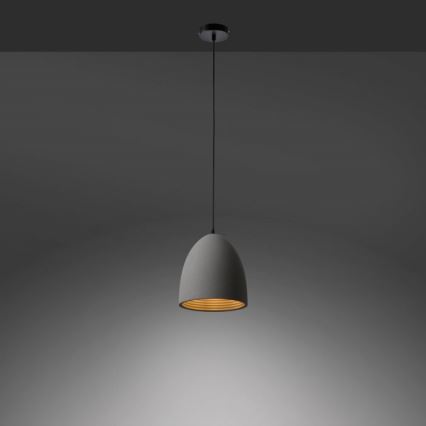 Paul Neuhaus 2231-22 - Viseći luster ETON na sajli 1xE27/40W/230V beton