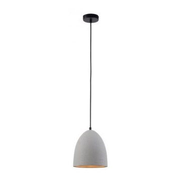Paul Neuhaus 2231-22 - Viseći luster ETON na sajli 1xE27/40W/230V beton