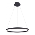 Paul Neuhaus 2382-13 - LED prigušiva luster na sajli TITUS LED/38,5W/230V