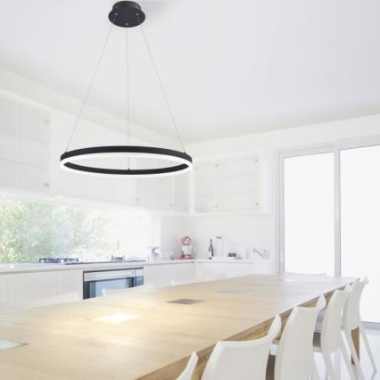 Paul Neuhaus 2382-13 - LED prigušiva luster na sajli TITUS LED/38,5W/230V