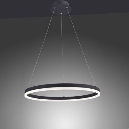 Paul Neuhaus 2382-13 - LED prigušiva luster na sajli TITUS LED/38,5W/230V