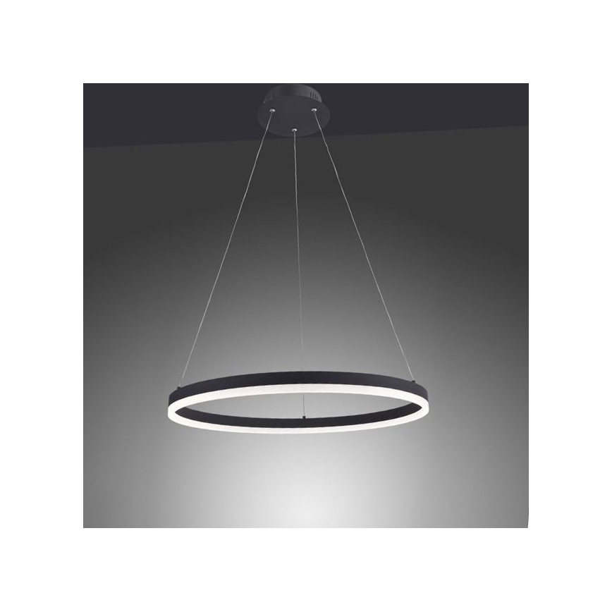 Paul Neuhaus 2382-13 - LED prigušiva luster na sajli TITUS LED/38,5W/230V
