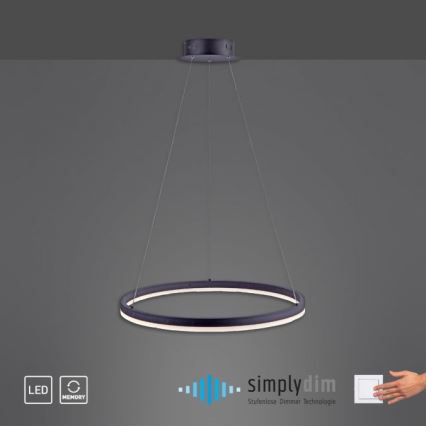 Paul Neuhaus 2382-13 - LED prigušiva luster na sajli TITUS LED/38,5W/230V