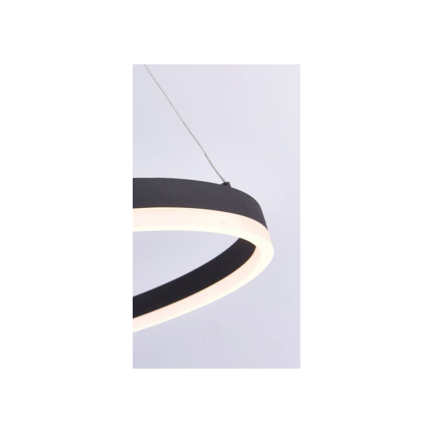 Paul Neuhaus 2382-13 - LED prigušiva luster na sajli TITUS LED/38,5W/230V
