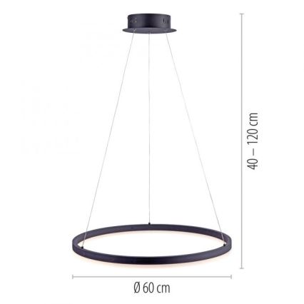 Paul Neuhaus 2382-13 - LED prigušiva luster na sajli TITUS LED/38,5W/230V