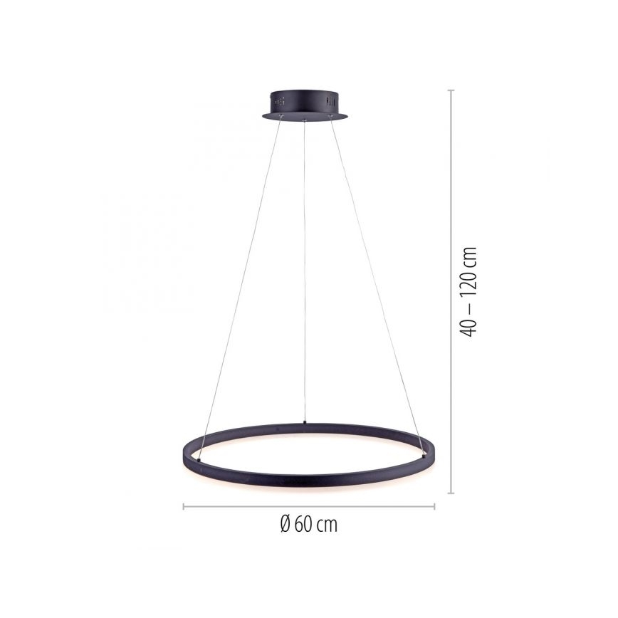 Paul Neuhaus 2382-13 - LED prigušiva luster na sajli TITUS LED/38,5W/230V
