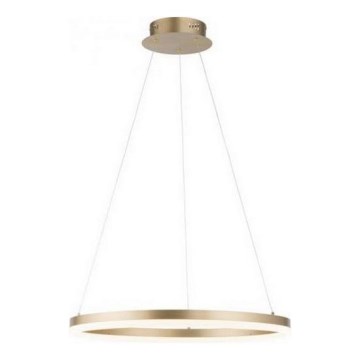 Paul Neuhaus 2382-60 - LED prigušiva luster na sajli TITUS LED/38,5W/230V