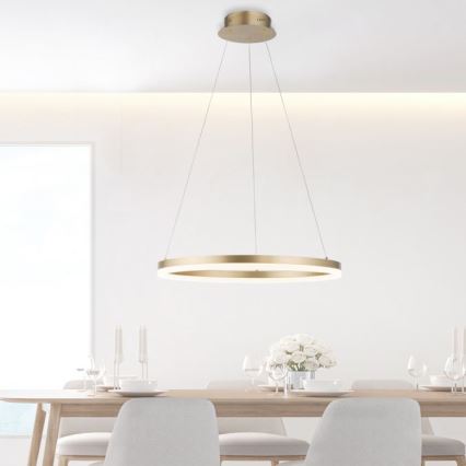 Paul Neuhaus 2382-60 - LED prigušiva luster na sajli TITUS LED/38,5W/230V