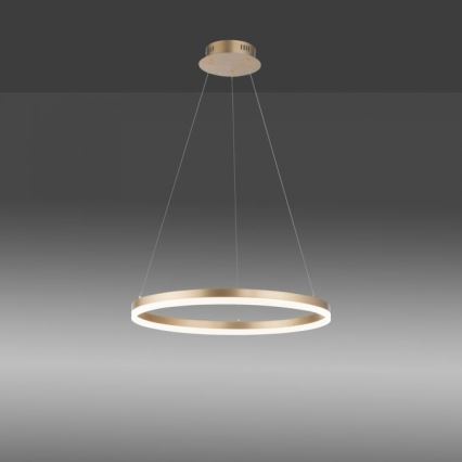 Paul Neuhaus 2382-60 - LED prigušiva luster na sajli TITUS LED/38,5W/230V
