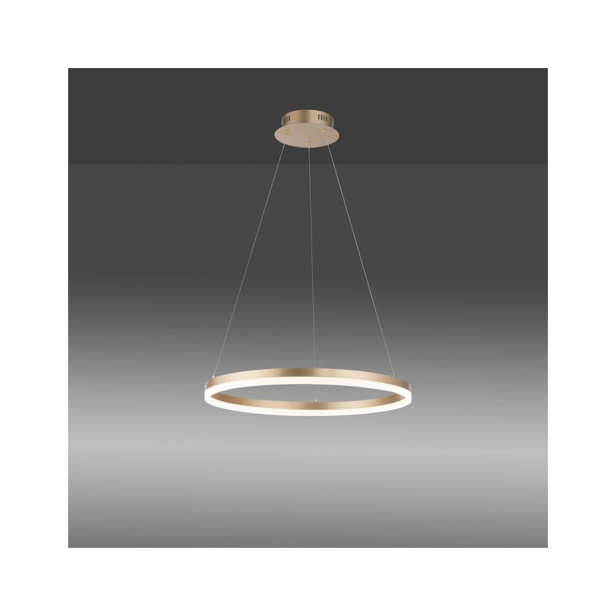 Paul Neuhaus 2382-60 - LED prigušiva luster na sajli TITUS LED/38,5W/230V