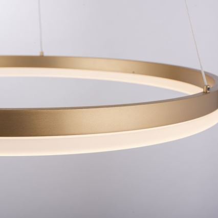 Paul Neuhaus 2382-60 - LED prigušiva luster na sajli TITUS LED/38,5W/230V