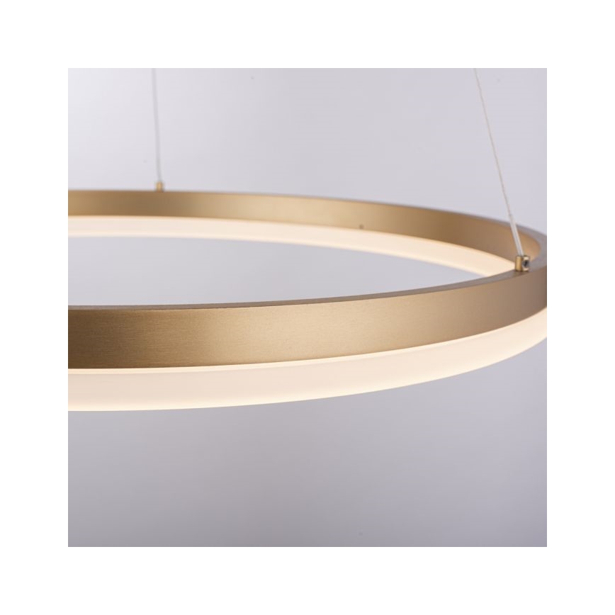 Paul Neuhaus 2382-60 - LED prigušiva luster na sajli TITUS LED/38,5W/230V