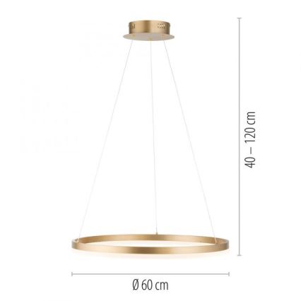 Paul Neuhaus 2382-60 - LED prigušiva luster na sajli TITUS LED/38,5W/230V