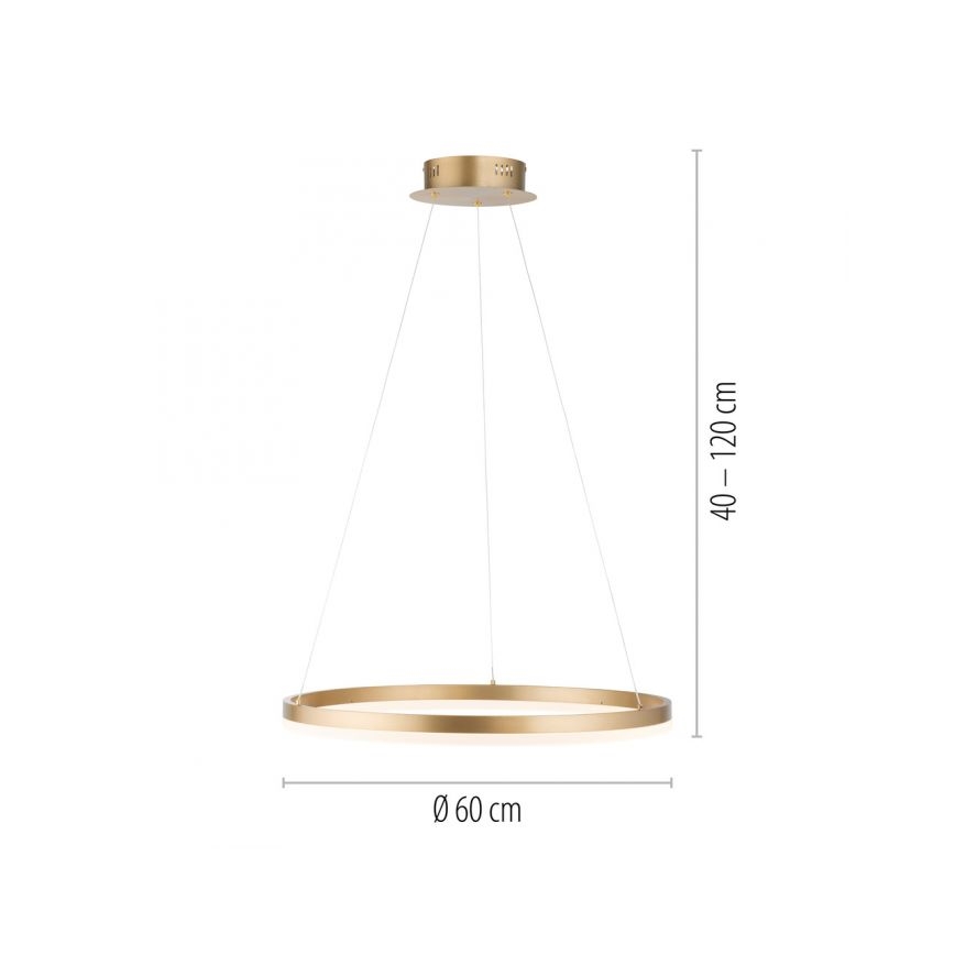 Paul Neuhaus 2382-60 - LED prigušiva luster na sajli TITUS LED/38,5W/230V