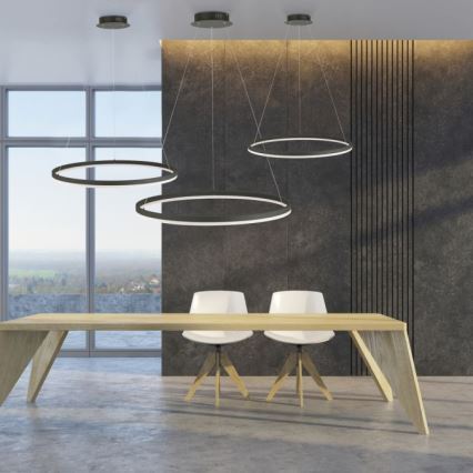 Paul Neuhaus 2383-13 - LED prigušiva luster na sajli TITUS LED/50W/230V