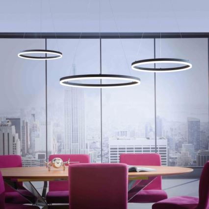 Paul Neuhaus 2383-13 - LED prigušiva luster na sajli TITUS LED/50W/230V