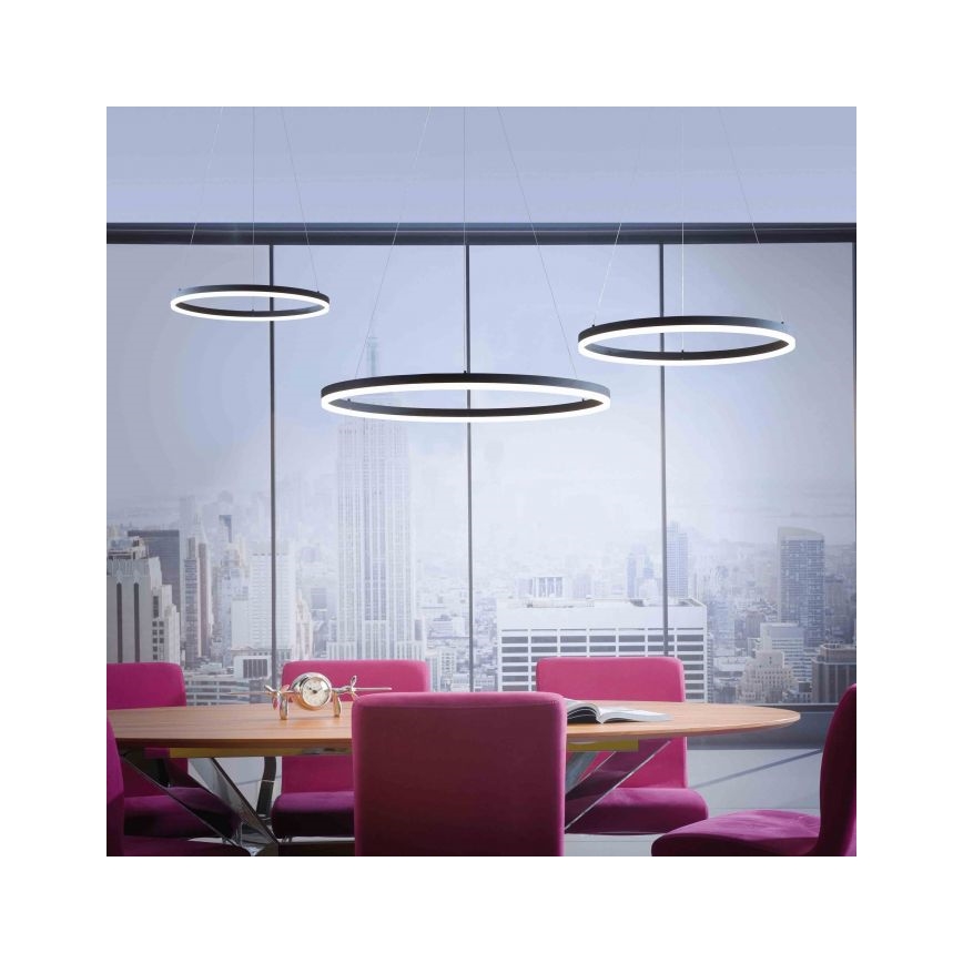 Paul Neuhaus 2383-13 - LED prigušiva luster na sajli TITUS LED/50W/230V