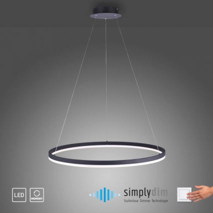 Paul Neuhaus 2383-13 - LED prigušiva luster na sajli TITUS LED/50W/230V