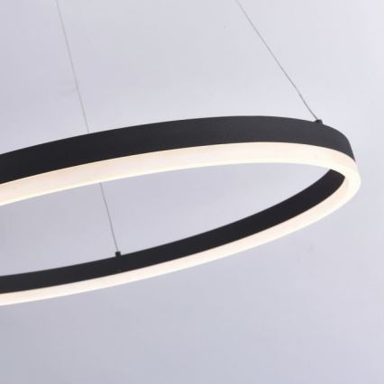 Paul Neuhaus 2383-13 - LED prigušiva luster na sajli TITUS LED/50W/230V