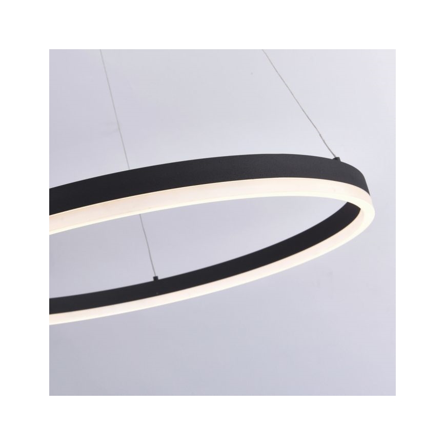 Paul Neuhaus 2383-13 - LED prigušiva luster na sajli TITUS LED/50W/230V