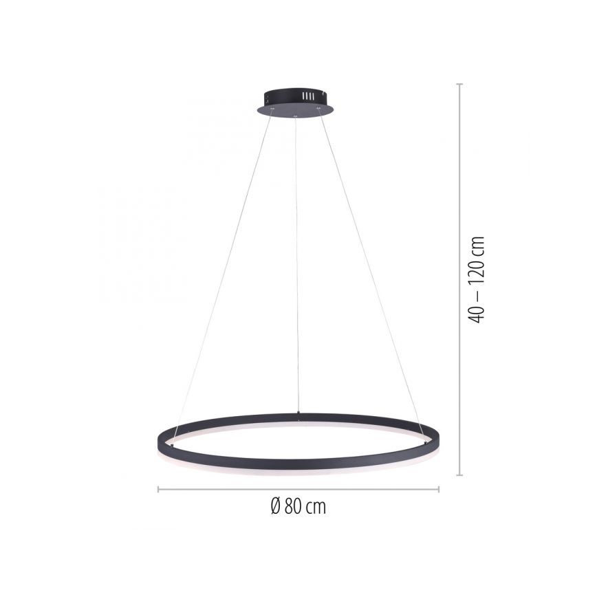 Paul Neuhaus 2383-13 - LED prigušiva luster na sajli TITUS LED/50W/230V