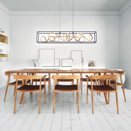 Paul Neuhaus 2416-18 - LED prigušiva luster na sajli SELINA 4xLED/10,2W/230V