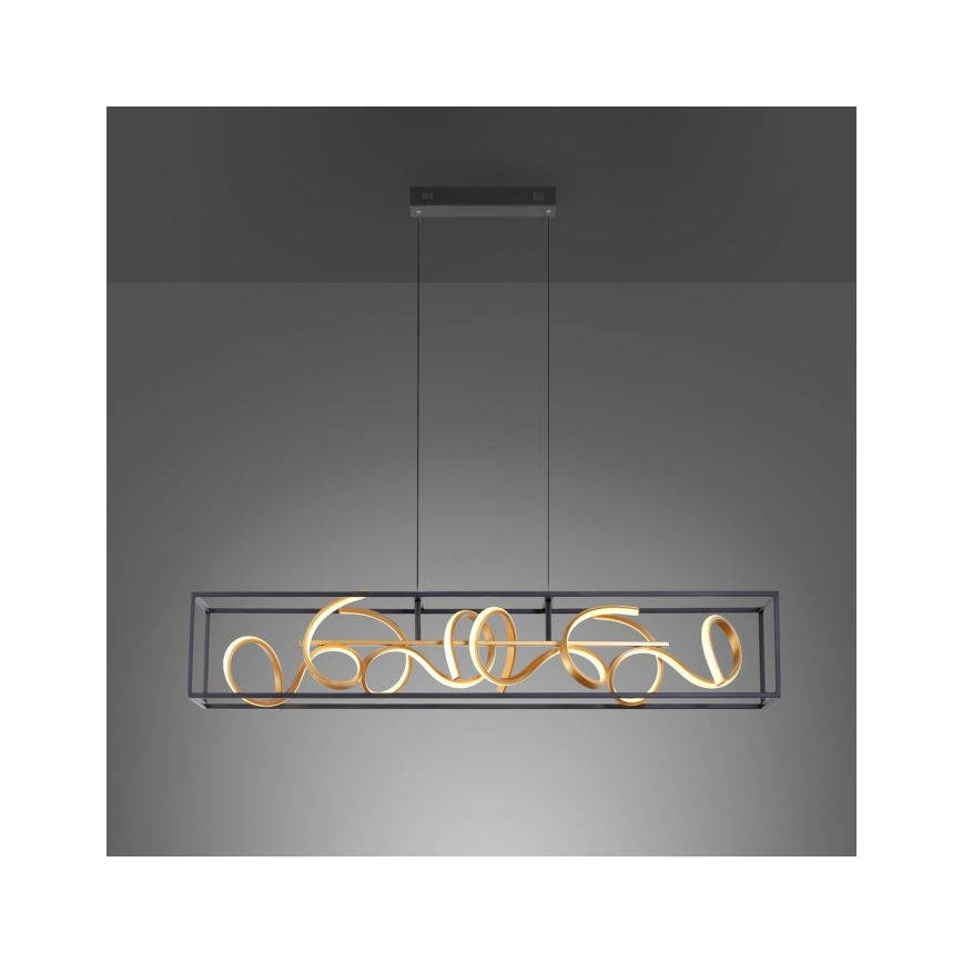 Paul Neuhaus 2416-18 - LED prigušiva luster na sajli SELINA 4xLED/10,2W/230V