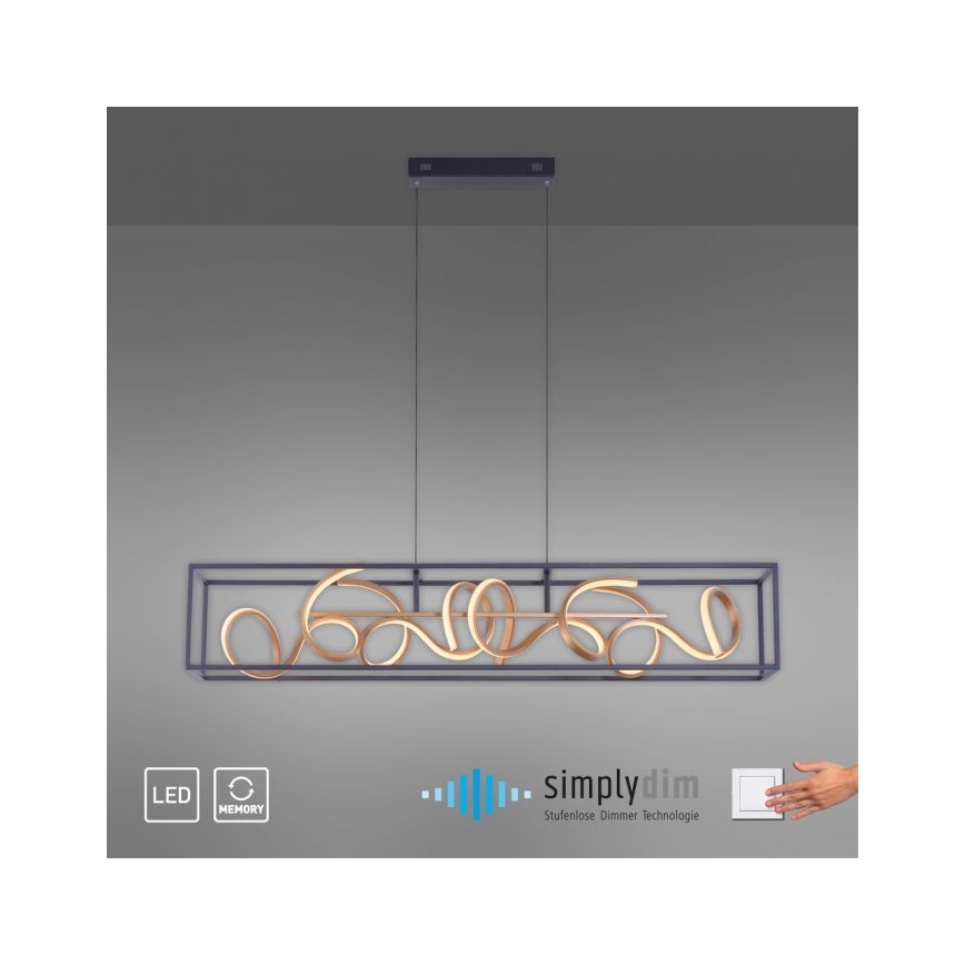 Paul Neuhaus 2416-18 - LED prigušiva luster na sajli SELINA 4xLED/10,2W/230V