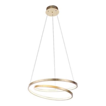 Paul Neuhaus 2472-12 - LED prigušiva luster na sajli ROMAN LED/30W/230V zlatna