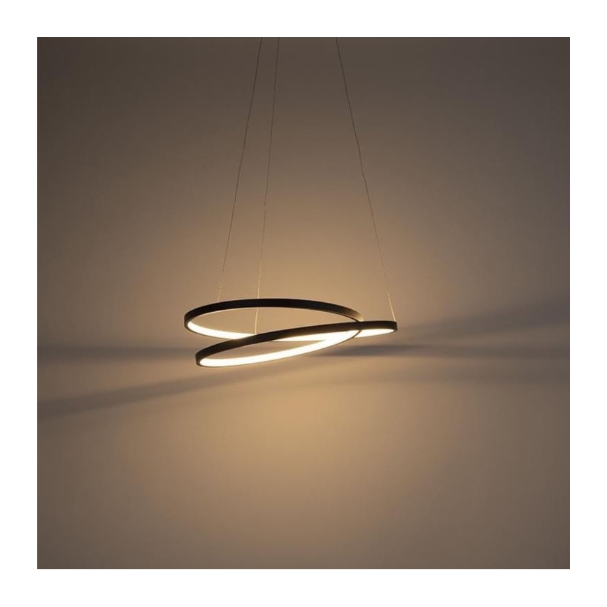 Paul Neuhaus 2472-18 - LED prigušiva luster na sajli ROMAN LED/30W/230V crna