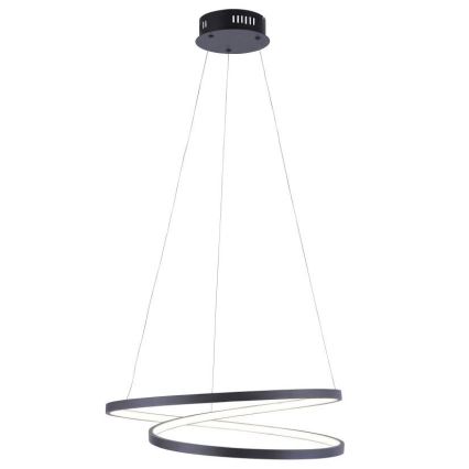 Paul Neuhaus 2472-18 - LED prigušiva luster na sajli ROMAN LED/30W/230V crna