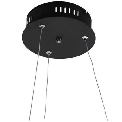 Paul Neuhaus 2472-18 - LED prigušiva luster na sajli ROMAN LED/30W/230V crna