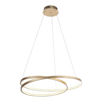 Paul Neuhaus 2474-12 - LED prigušiva luster na sajli ROMAN LED/40W/230V zlatna