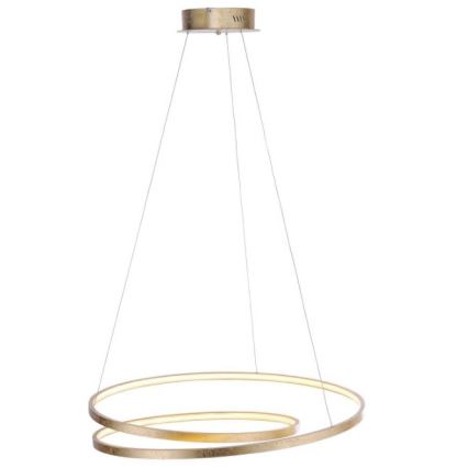 Paul Neuhaus 2474-12 - LED prigušiva luster na sajli ROMAN LED/40W/230V zlatna