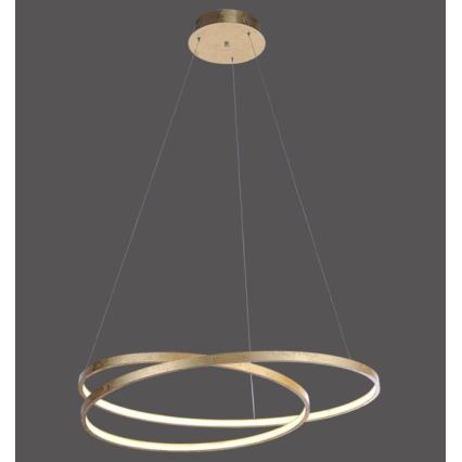 Paul Neuhaus 2474-12 - LED prigušiva luster na sajli ROMAN LED/40W/230V zlatna