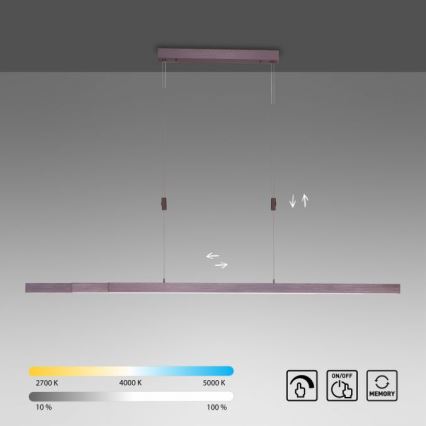 Paul Neuhaus 2568-24 - LED prigušiva luster na sajli ADRIANA LED/14W/230V 2700-5000K