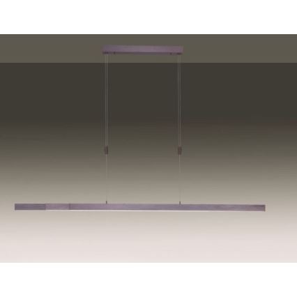 Paul Neuhaus 2568-24 - LED prigušiva luster na sajli ADRIANA LED/14W/230V 2700-5000K