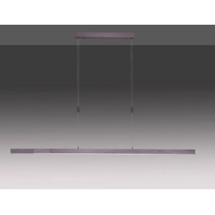 Paul Neuhaus 2568-24 - LED prigušiva luster na sajli ADRIANA LED/14W/230V 2700-5000K
