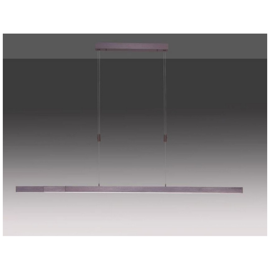 Paul Neuhaus 2568-24 - LED prigušiva luster na sajli ADRIANA LED/14W/230V 2700-5000K