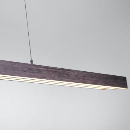 Paul Neuhaus 2568-24 - LED prigušiva luster na sajli ADRIANA LED/14W/230V 2700-5000K