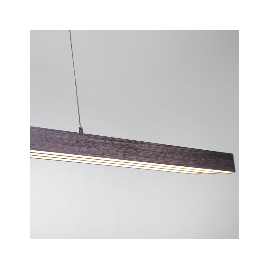 Paul Neuhaus 2568-24 - LED prigušiva luster na sajli ADRIANA LED/14W/230V 2700-5000K