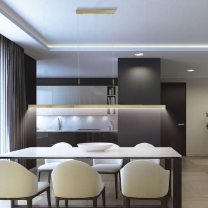 Paul Neuhaus 2568-60 - LED prigušiva luster na sajli ADRIANA LED/14W/230V 2700-5000K mesing