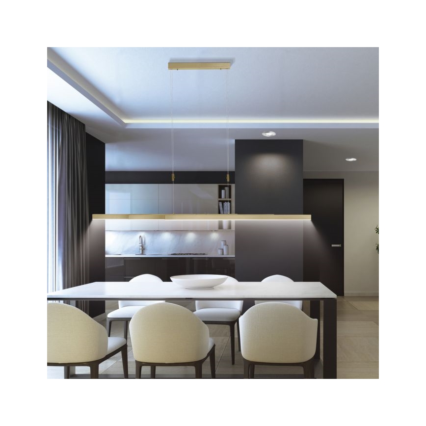 Paul Neuhaus 2568-60 - LED prigušiva luster na sajli ADRIANA LED/14W/230V 2700-5000K mesing