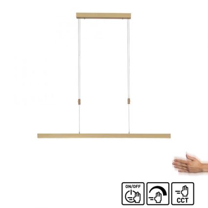 Paul Neuhaus 2568-60 - LED prigušiva luster na sajli ADRIANA LED/14W/230V 2700-5000K mesing