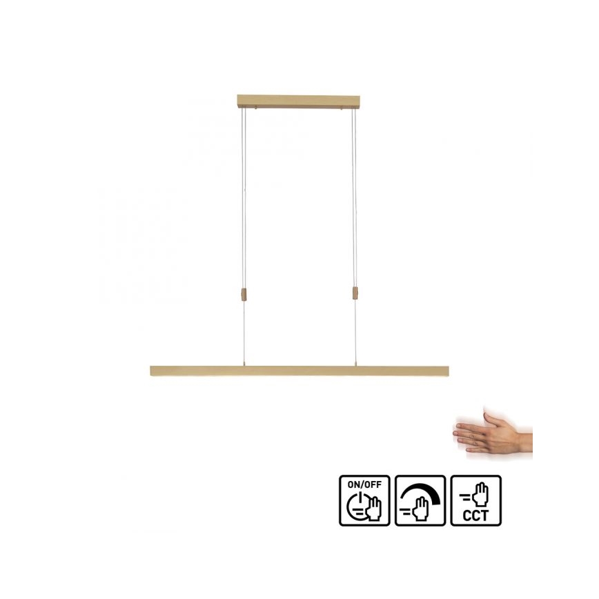 Paul Neuhaus 2568-60 - LED prigušiva luster na sajli ADRIANA LED/14W/230V 2700-5000K mesing