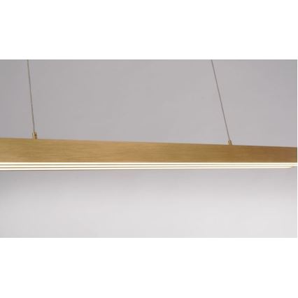 Paul Neuhaus 2568-60 - LED prigušiva luster na sajli ADRIANA LED/14W/230V 2700-5000K mesing