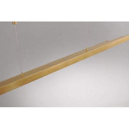 Paul Neuhaus 2568-60 - LED prigušiva luster na sajli ADRIANA LED/14W/230V 2700-5000K mesing