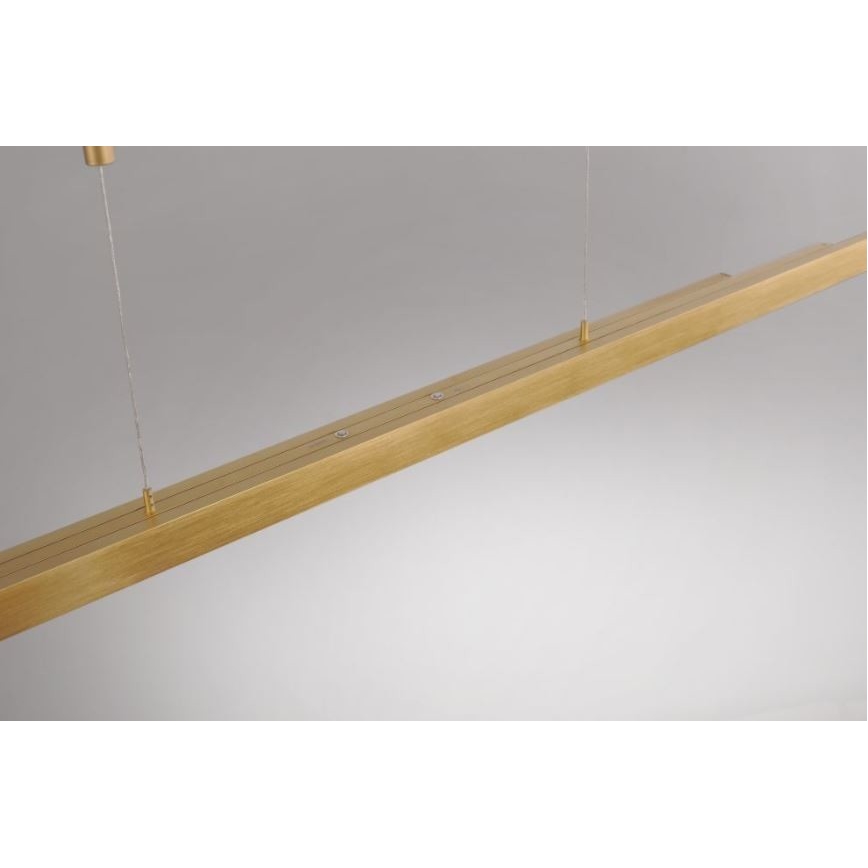 Paul Neuhaus 2568-60 - LED prigušiva luster na sajli ADRIANA LED/14W/230V 2700-5000K mesing